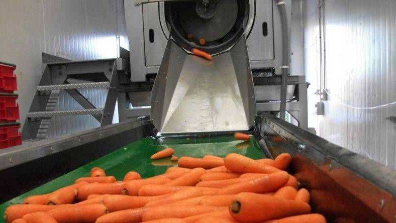 Wyma pelador hort|pelador Wyma